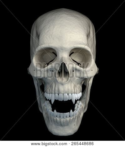 Halloween Scarry Vampire Skull Isolated On A Black Background - Front View. 3d Render.