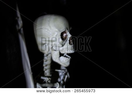 Skeleton Hanging In The Darkness Ready To Scare People. Intentional Motion Blur To Convey Movement A