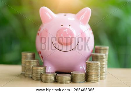 Picky Bank And Coin, For Invest Money, Ideas For Saving Money For Future Use.
