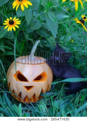 Halloween Feast Of All Saints Is Celebrated On October 31 Pumpkin Yellow Color Cut Glows