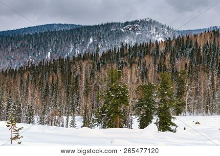 View From Mount Utuya. Winter Landscape In Gornaya Shoria. Russia, Kemerovo Region, Sheregesh Ski Re