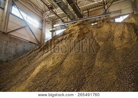 Granules Of Rape Cakes In The Agricultural Factory For The Production Of Rapeseed Oil.