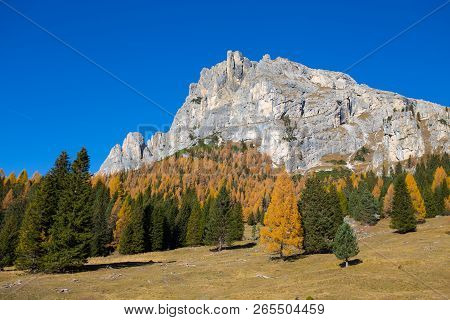 View Of Tofane Mountains On The Background Seen From Falzarego Pass In An Autumn Landscape In Dolomi