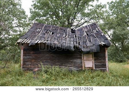 old wooden house in the forest