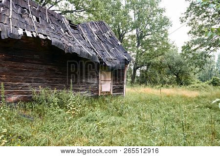old wooden house in the forest