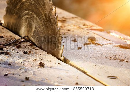 Circular Saw, Wood Cutting Device, Table Saw