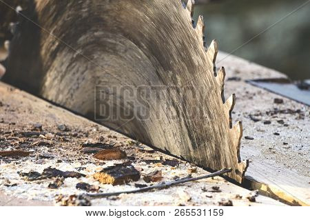 Circular Saw. Circular Saw On Wooden Background With Daylight