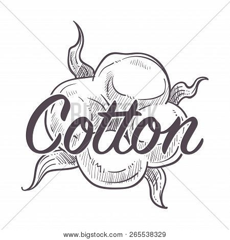 Cotton Flower In Blossom Monochrome Sketch Outline Poster