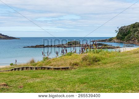 Panoramic View Of Matai Bay In Karikari Peninsula In New Zealand Under A Blue Sky
