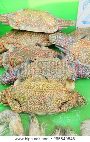 Fresh Crab For Cooking In The Market