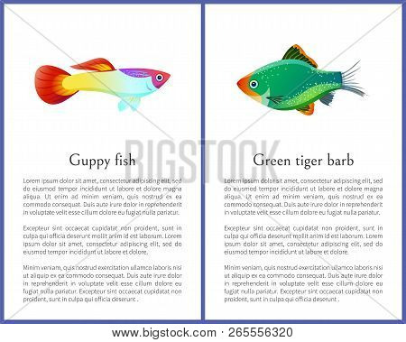 exotic guppy fish