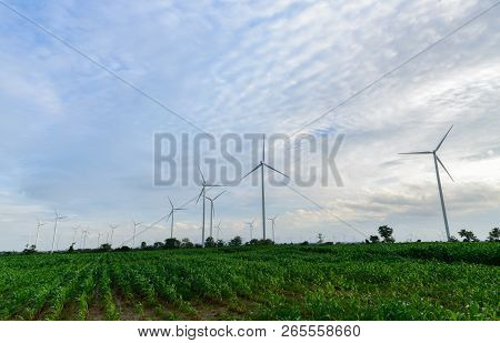 Landscape Of Windmills For Electric Power Production At Huai Bong, Dan Khun Thot District, Nakhon Ra