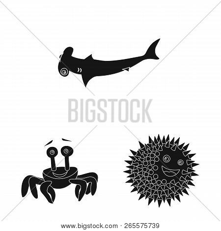 Vector Design Of Sea And Animal Sign. Set Of Sea And Marine Vector Icon For Stock.