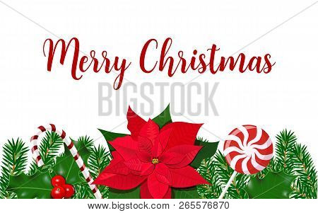 Christmas Frame Decoration Of Holly, Winterberry, Poincettia Composed Of Fresh Fir Branches. Place F