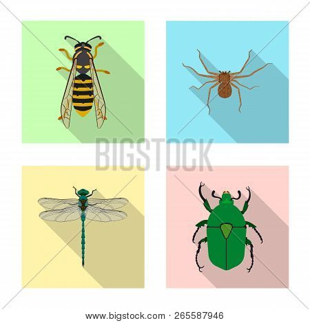Vector Illustration Of Insect And Fly Symbol. Collection Of Insect And Element Stock Vector Illustra
