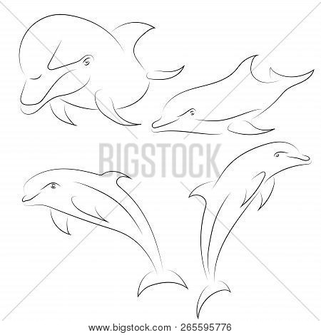 Black Line Dolphin On White Background. Hand Drawn Vector Dolphi