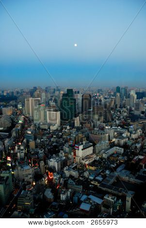 Tokyo vista