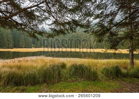 Smolyan Lakes In Bulgaria During Autumn With Beautiful Day.