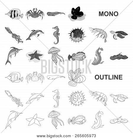 A Variety Of Marine Animals Monochrom Icons In Set Collection For Design. Fish And Shellfish Vector 
