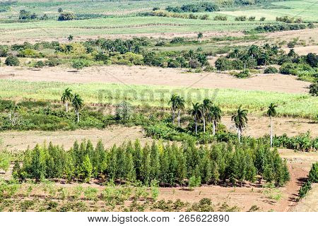 Landscape Of Valle De Los Ingenios Valley Near Trinidad, Cuba