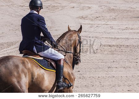 Equestrian Jumping Competitions, The Rider On The Red Horse