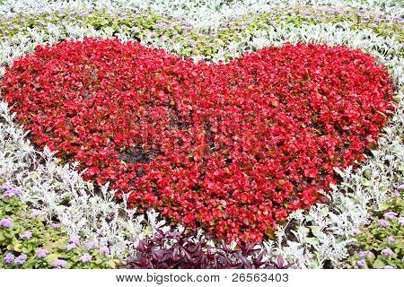 Blumen Herz