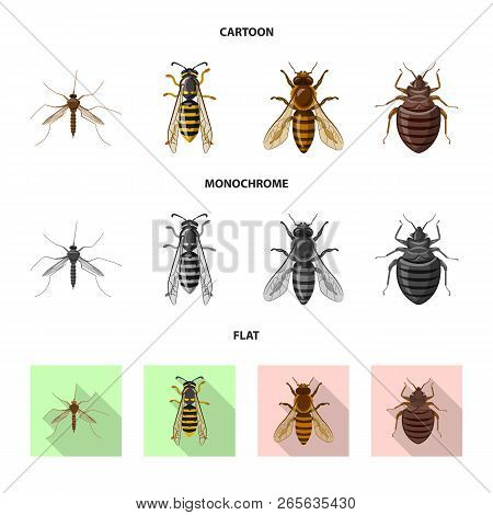 Vector Illustration Of Insect And Fly Sign. Collection Of Insect And Element Vector Icon For Stock.