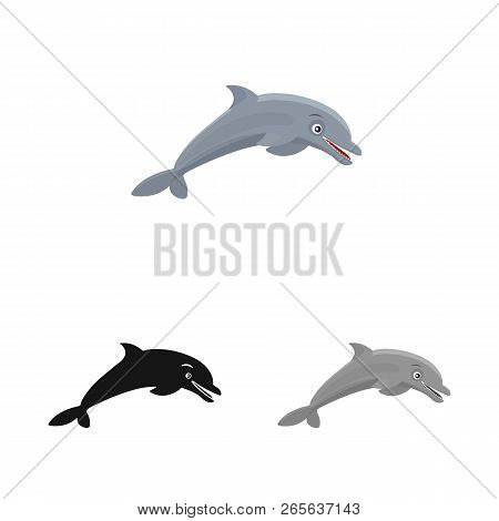 Vector Design Of Sea And Animal Sign. Collection Of Sea And Marine Vector Icon For Stock.