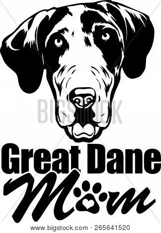 Animal Dog Great Dane 6Tg Mom.eps