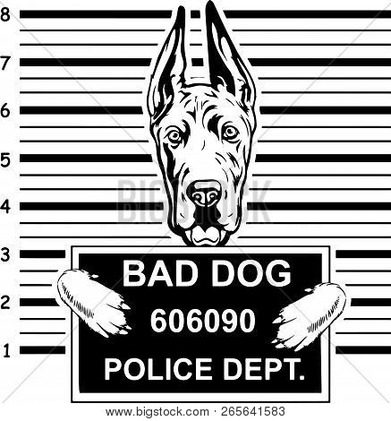 Animal Dog Great Dane 6Tygy Head.eps