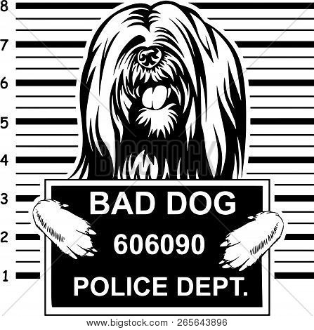 Animal Dog Lhasa Apso 5T6Yfv Head.eps