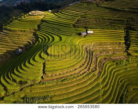 Aerial View Of Vietnam Landscapes. Rice Fields On Terraced Of Mu Cang Chai, Yenbai. Royalty High-qua