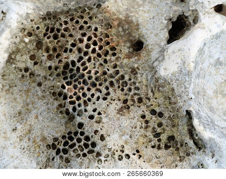 Close Up Of Mediterrian Stone Texture With Small Holes, Looking Like Bee Holes