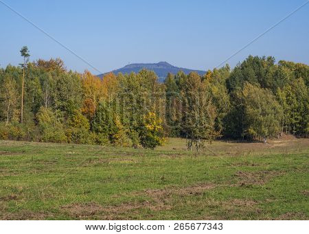 Meadow With Autumn Colorful Forest And Trees And Hills With Lookout Tower And Blue Sky Landscape In 