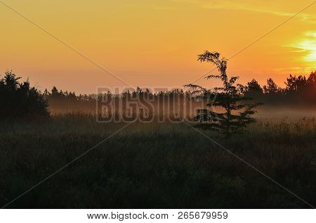 Morning In The Steppe, Red Sky, Sunrise. Thick Fog On The Grass