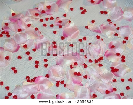 Petalsnhearts
