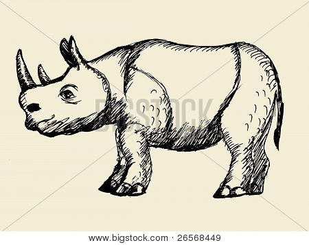 犀牛的插图