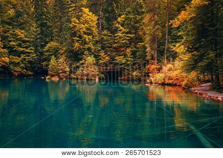 Autumn Time At Romantic Forest Lake Blausee, One Of The Best Known Mountain Lakes In Switzerland.