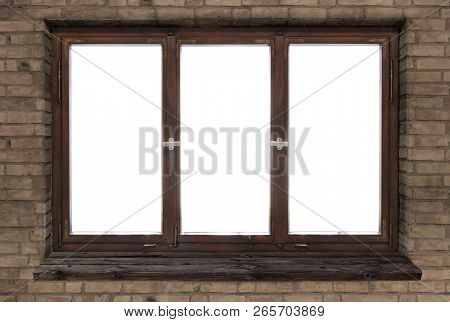 Window Old Wood Window Frame Sprouts Vintage White