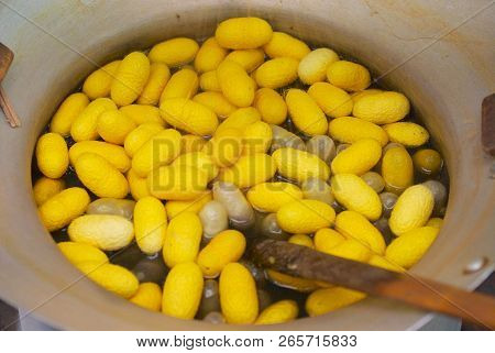 Pile Of Yellow Silkworm Cocoons Being Boiled And Getting Ready To Spun Into Silk Thread At A Silk Fa