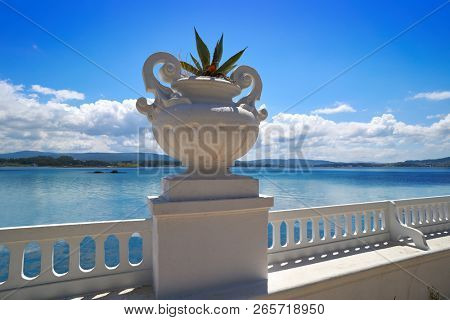 La Toja island Toxa beach flower pot in Pontevedra Galicia Spain