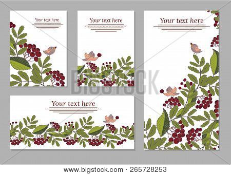 Set Of Cards, Posters, Flyers With Floral Ornaments. Floral Elements