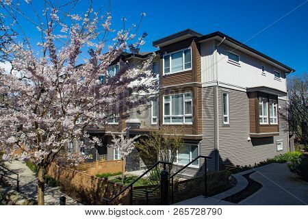 New Modern Low Rise Appartament Complex On A Sunny Spring Day With Blooming Sakura Trees.
