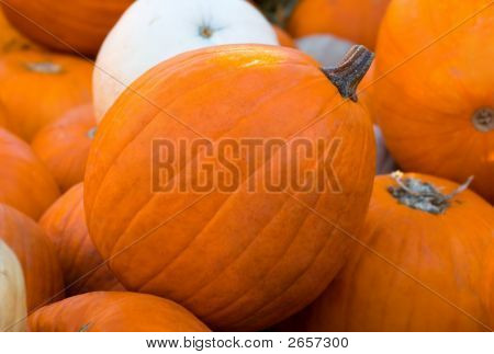 Kasa oranssi Pumking
