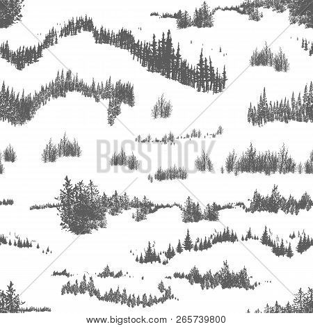 Monochrome Seamless Pattern With Hand Drawn Silhouettes Of Forest Coniferous And Deciduous Trees Gro