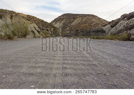 Straight Dirt Road In The Desert, Loneliness