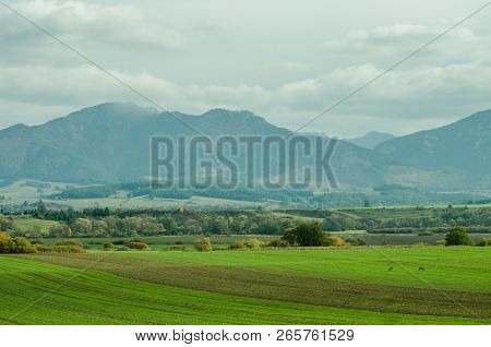 Ladnscape From Slovakia - Green Meadows And Fields And Mountains