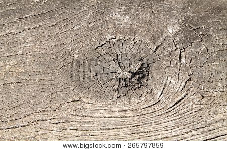 Old Wood Texture Top View Work, Ring, Material, Timber, Rough, Aging, Broken,