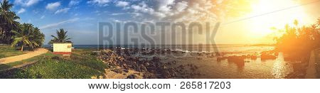 Beautiful Landscape Views Of Palm Trees Near The Ocean At Sunset Background