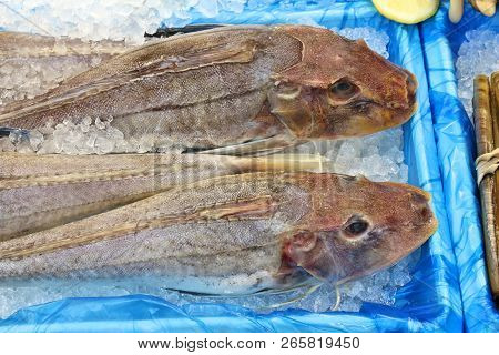 Tub Gurnard - Fresh Fish Shopping At A Market Place In Leeds, Uk.